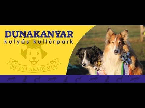 Dunakanyar Kutyás Kultúrpark-Kutya Agility - Verőce