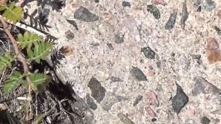 Mike + The Mechanics: "Don't"