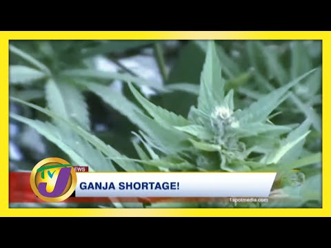 Ganja Shortage in Jamaica! February 1 2021