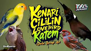 Download lagu MASTERAN SATU JALUR   JEDA TERAPI AIR | GARANSI CEPAT MASUK 100%!! mp3