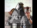 Alt-j - Breezeblocks (Cry Wolf Remix) 