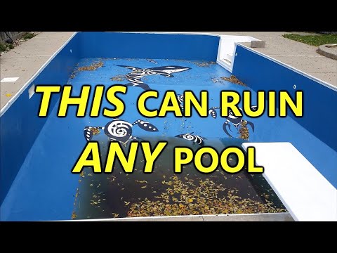 One Thing That Can Ruin ANY Pool