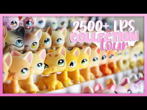 2500+ Littlest Pet Shop Collection Tour 2024 ✨ | #littlestpetshop
