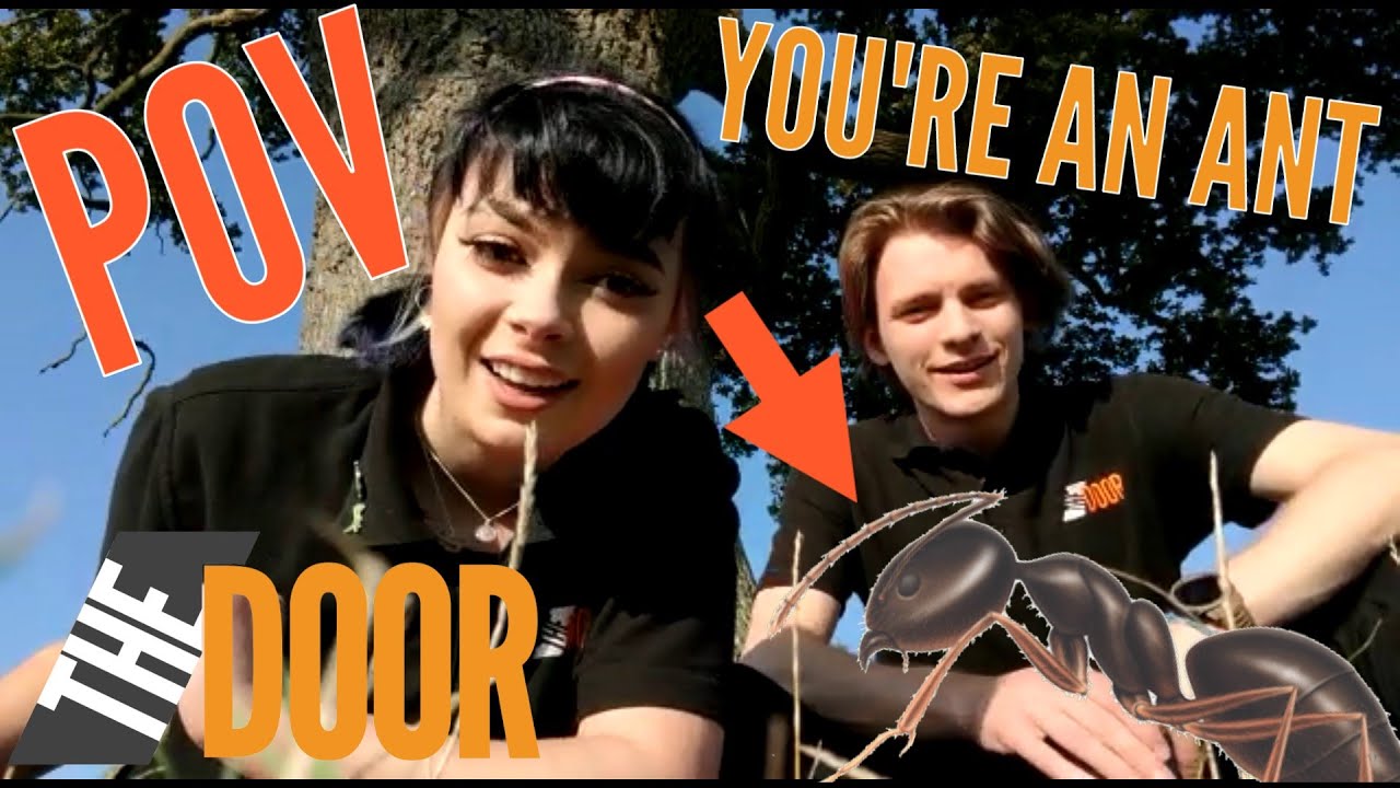 POV You're an Ant | Question Time