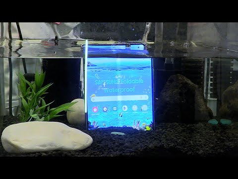 Samsung CES 2024: Unbreakable Displays! Bend, Dunk, Smash... Repeat?