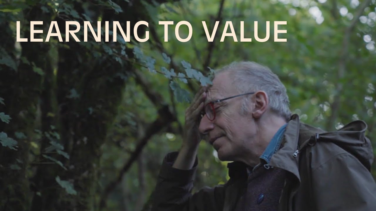Learning to Value