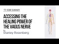 Accessing the Healing Power of the Vagus Nerve by Stanley Rosenberg | Book Summary