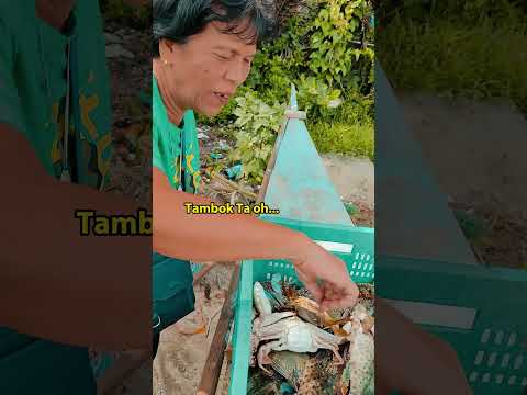 TALOC BAY BAY, Bago City Negros Occidental #fyp #ronkahiligtv #sugarvanillaph #Tiktok #voiceover