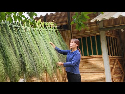 Mountain Life: Collecting Forest Grass to Make Brooms & Traditional Fire-Roasted Cake "Ly Tieu An"