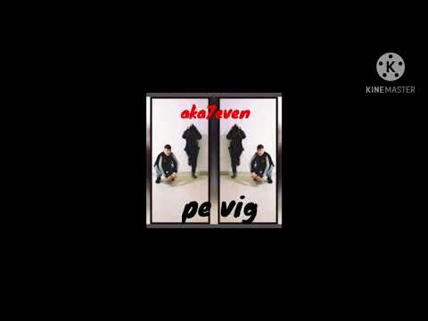 AKA7EVEN - PE VIG (official)