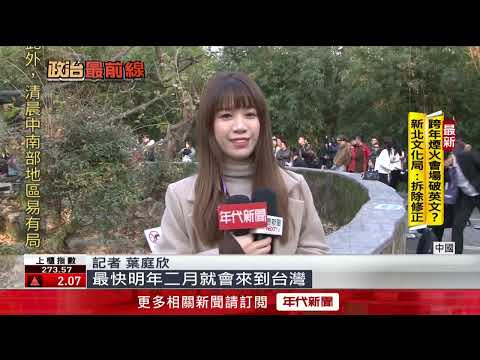 參觀上海動物園　林奕華：小貓熊明年2月到台北