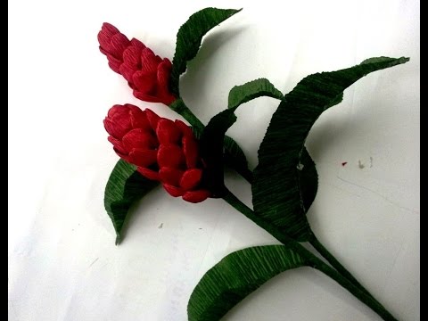 DIY  - craft tutorial - How to make Paper flower - Ginger by crepe paper - Làm hoa gừng giấy nhún