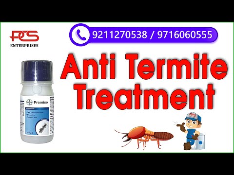 Pest Control Services For Termite In Moradabad