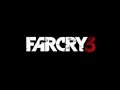 Far Cry 3 