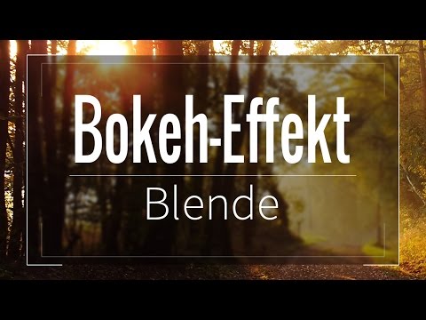 Bokeh-Effekt