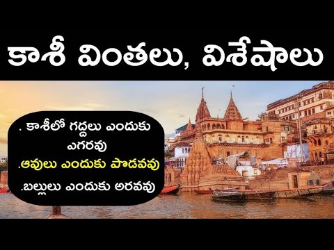 Complete Details Of Kashi Novelties & Facts