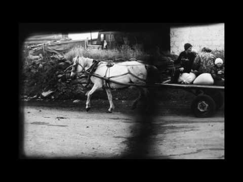 Rising Tides, sung by Phoebe Killdeer and Howe Gelb - This film by Tina Kazakhishvili © 2017