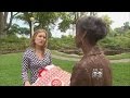Critic: Plastic Bag Ban Isn't Working