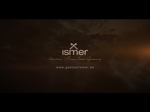Gestüt Ismer - Arabian Horses from Germany