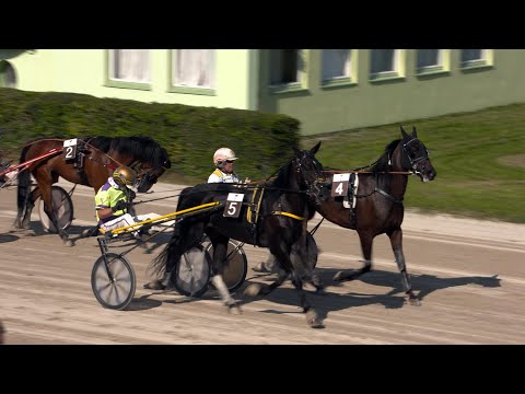 Guntramsdorfer Trab-Renntag in Baden