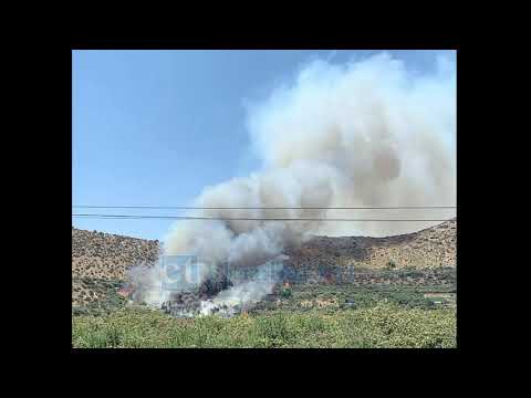Incendio Forestal Devasta Casas en Catemu: Bomberos y Autoridades Trabajan para Co // Noticias.lat