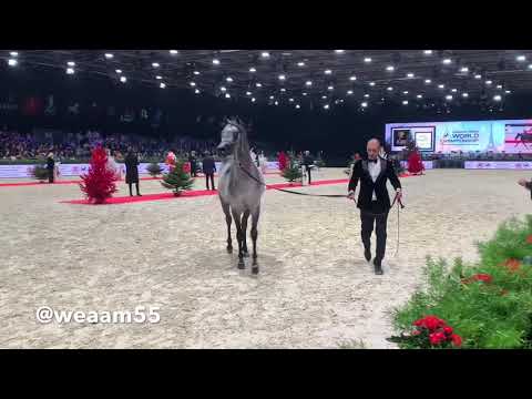 بطل العالم المهر الخراافي إي كي اس فراج ‏EKS FARAJJ