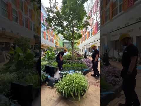 Thumbnail for Star of the Seas BTS | Royal Caribbean