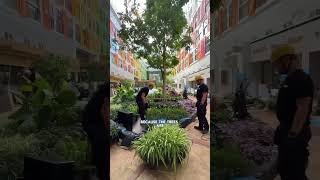 Star of the Seas BTS | Royal Caribbean