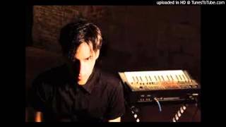 Black Tape For A Blue Girl  -  Damn swan!