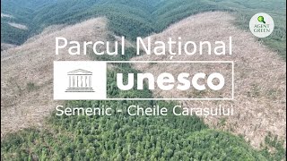 Pădure UNESCO doborâtă