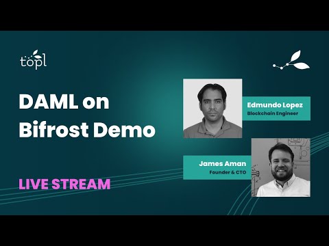 DAML on Bifrost Demo
