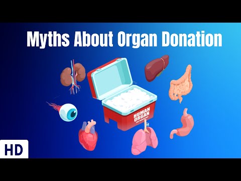 All About Allergy Shots