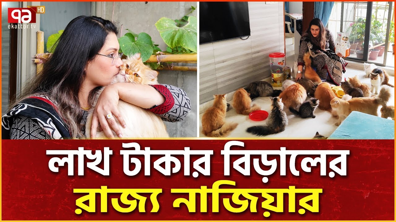বিড়ালের রাজ্যে রানি নাজিয়া | Cat Lover | Ekattor Special