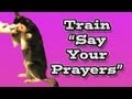 'How to' train the dog trick - Say Your Prayers ...