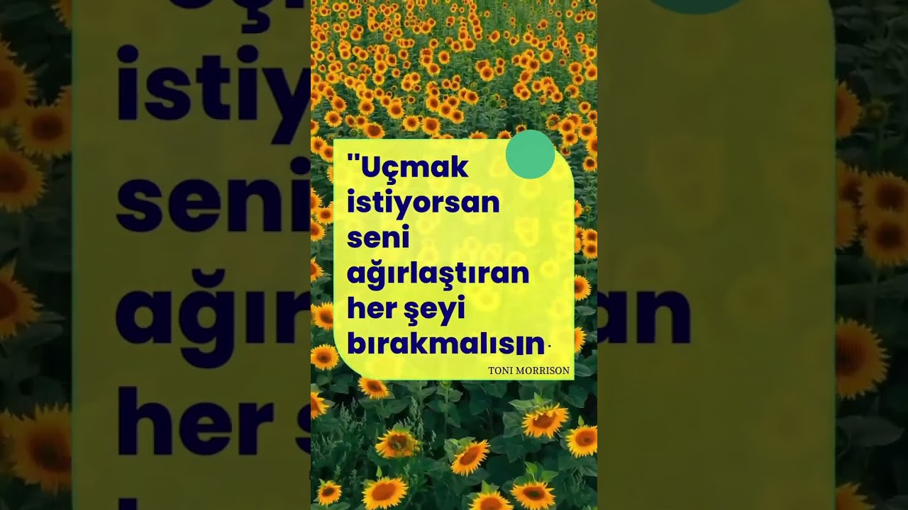 Dilek Demir Bulut-13