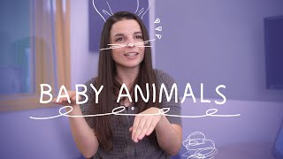 Weekly English Words with Alisha - Baby Animals!