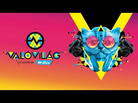 Így reagált Puskás Peti a Való Világ Történetének eddigi legnagyobb "%" állására.