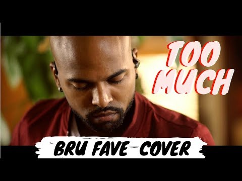 ZAYN ft. Timbaland - TOO MUCH || - BRUNO FAVE - LOOP COVER