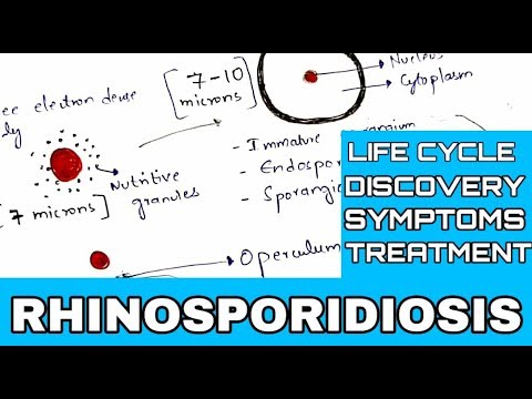 TAENIA tenia SOLIUM BY PHANINDRA GUPTHA