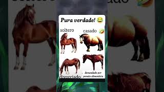 Errado Não Tá! 🤭😅#shorts #viral #shortvideo #viralvideo #youtubeshorts #comedy #funny #fyp #short #_