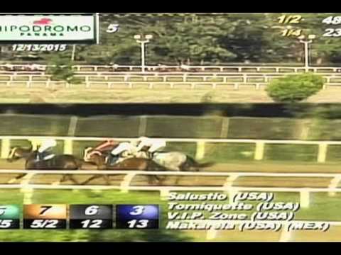 COPA INVITACIONAL DE IMPORTADOS