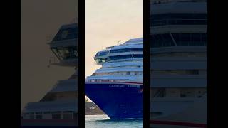 Carnival Sunrise 🛳️ #like #share #comment #subscribe #youtubeshorts #fun #shortvideo #shorts #short