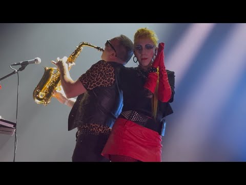 Selofan - Grauzone Festival 2025