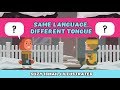 Same Language Different Tongue