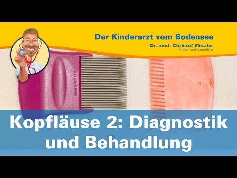 Kopfläuse 2: Diagnostik und Behandlung - Der Kinderarzt vom Bodensee