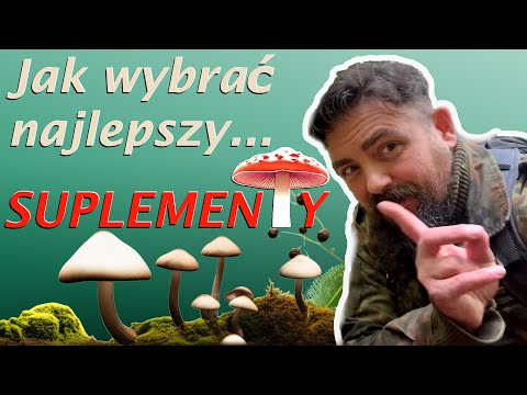 How to Avoid Being Fooled? Mushroom Supplements Demystified