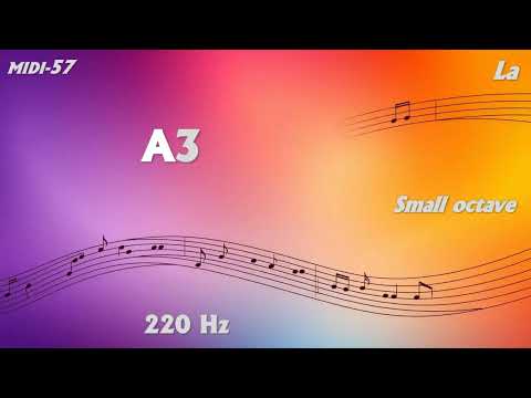 Incredible Precision (13 Decimal): A3 La Small octave MIDI 57