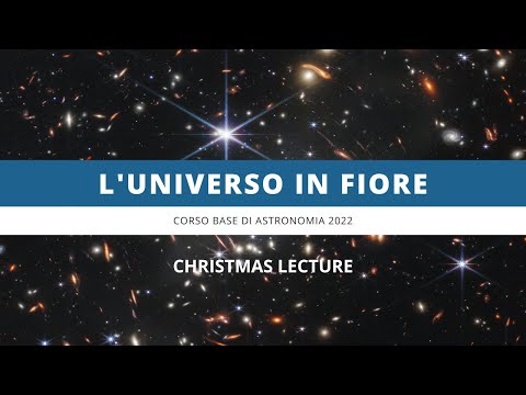 Universo in fiore | 21 dicembre
