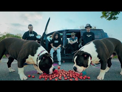 "6" - Money Bag Boys (Big Punch x Ceo Stew x Lil Don x 1481 Grungie) video @12mileproductions