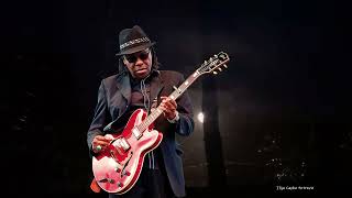 Joe Louis Walker - Hello, It's The Blues